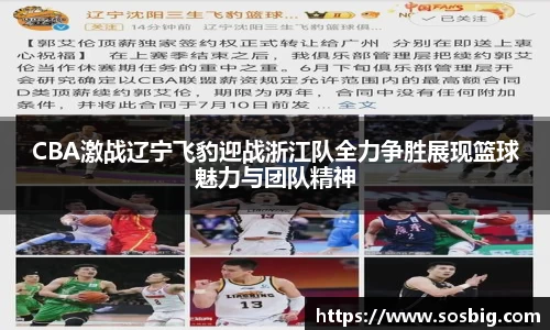 CBA激战辽宁飞豹迎战浙江队全力争胜展现篮球魅力与团队精神