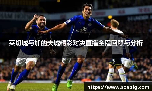 莱切城与加的夫城精彩对决直播全程回顾与分析