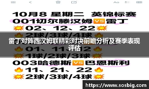 雷丁对阵西汉姆联精彩对决前瞻分析及赛季表现评估
