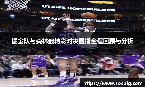 掘金队与森林狼精彩对决直播全程回顾与分析